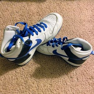10.5 Nike Dunk High